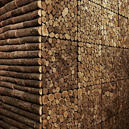 Le Reve De Naim 罗马