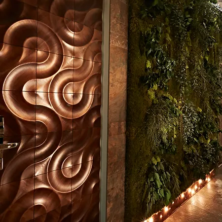 Le Reve De Naim 罗马