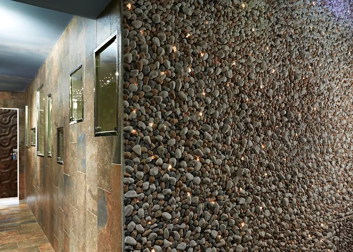 酒店 Le Reve De Naim 4*