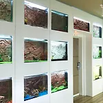 Le Reve De Naim Hotel