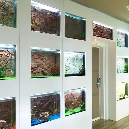 Le Reve De Naim Hotel