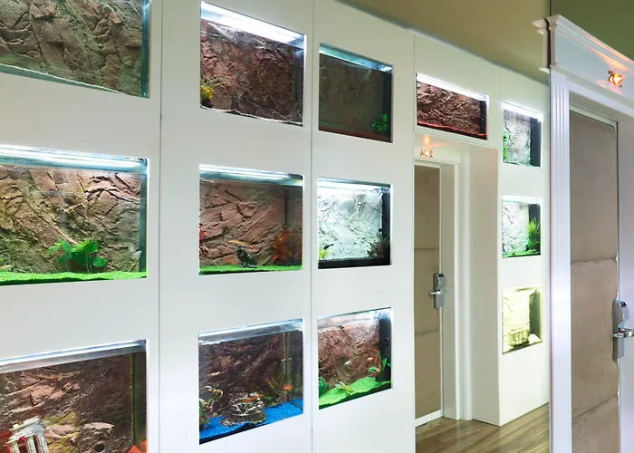 Le Reve De Naim מלון